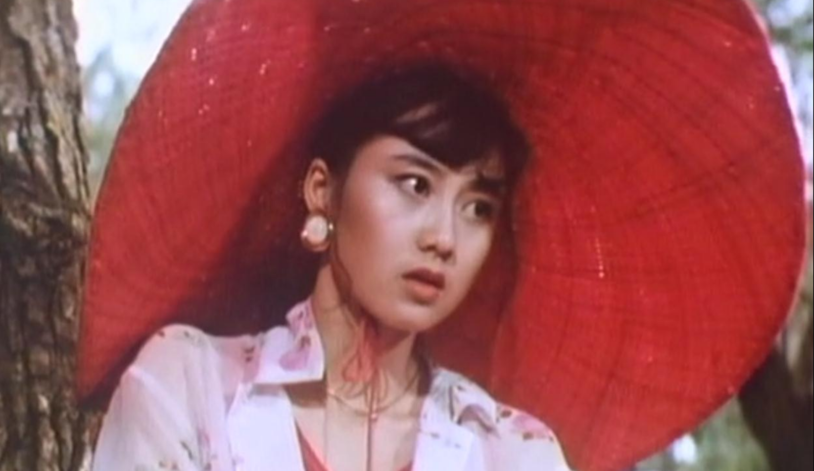 樊少皇|做了甄子丹14年的对手,新片4天票房6万,樊少皇浪费了王炸开局