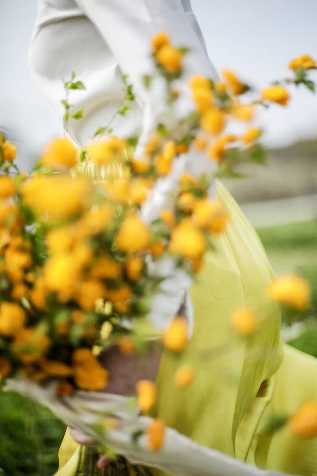 职场故事|告别职场焦虑，她逃到农场拍野花；3年拍了上千张，把爱好修成主业
