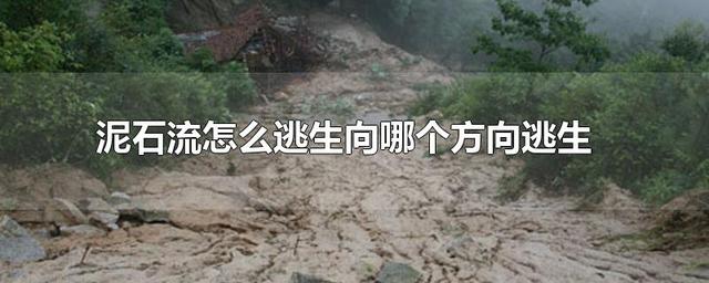 北上广深|吉尔吉斯斯坦冰川崩塌！网友：还傻呆呆在拍，还不赶紧逃命？
