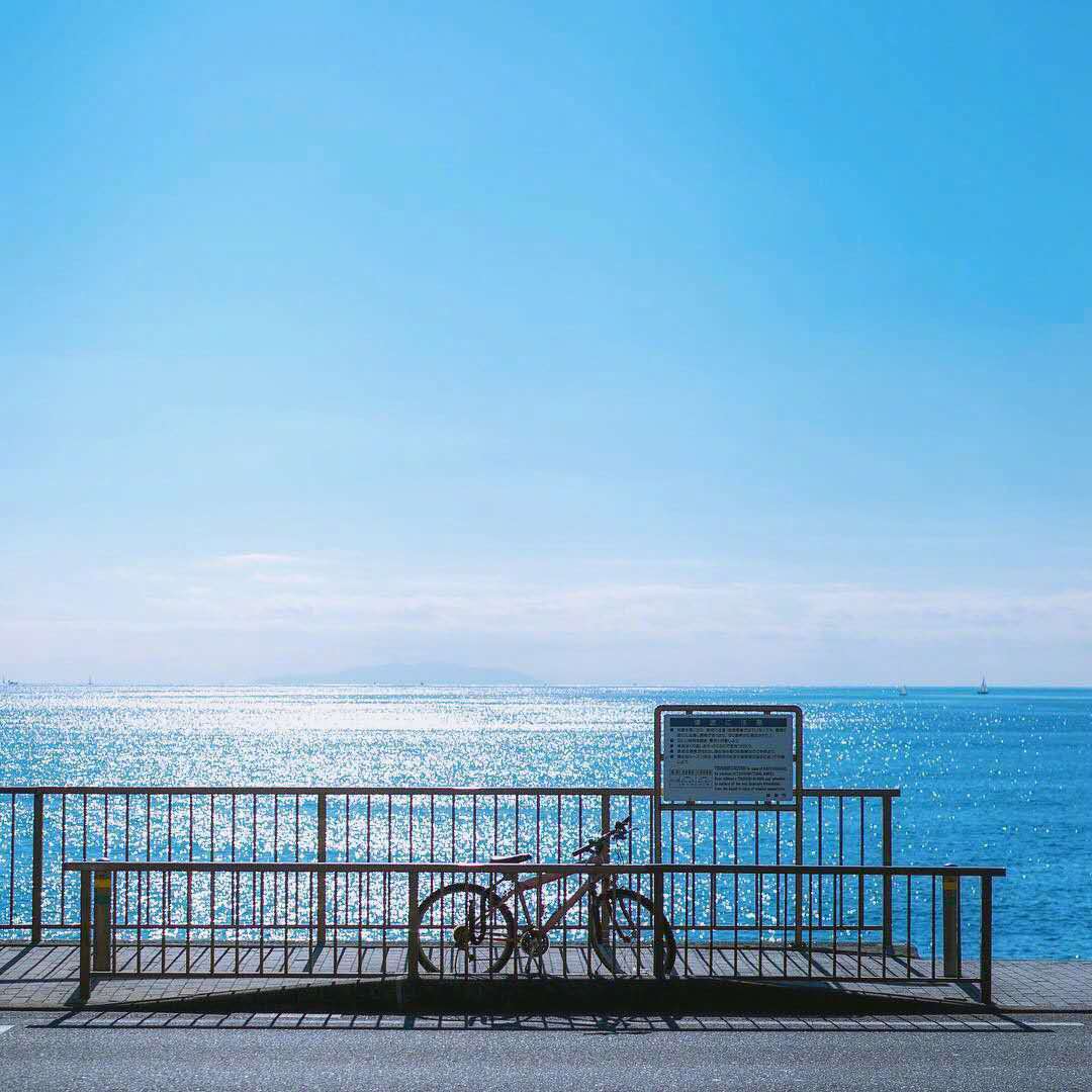 鲸落是鲸鱼留给大海最后的温柔