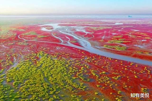 黑龙江|国内值得去的六大沼泽湿地,每个都美得与众不同,你去过几个呢?