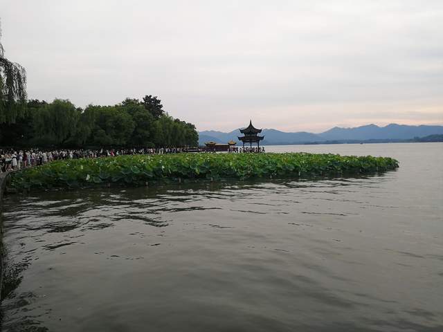 |美景一时观不透,天缘有份画中游。西湖,你仍是十几亿人的娇宠