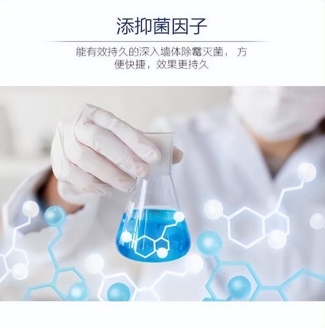 卧室墙面发霉变黑,千万别再睡了,教你一招,轻松去除墙体霉斑