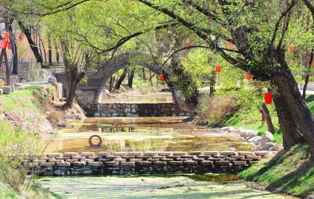 旅游业|旅游行业收入只恢复到疫情前的一半水平,办旅游发展大会能扭转吗