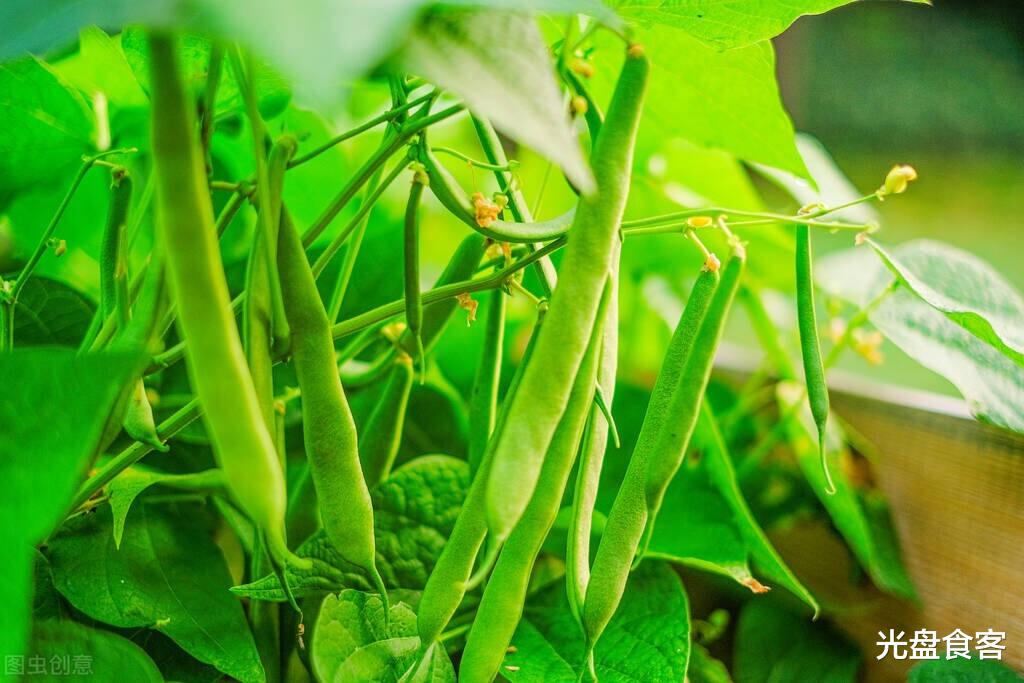 感冒|夏天宁可不吃肉,也要吃这5种“冠军”蔬菜,补足营养,提高智力