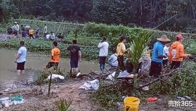钓鱼|大雨后小河沟成天然黑坑，成百上千的人前来钓鱼，网友：太疯狂了
