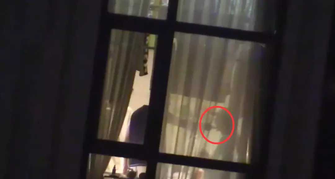 杨紫|与刘学义深陷蛋糕风波,遭女配角艳压,杨紫仍选择为朋友仗义执言