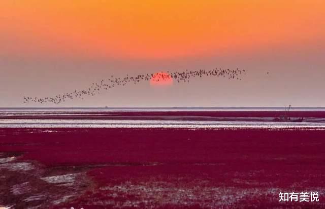 九寨沟|不用出国！国内这12大世界级风景美得不可思议！你去过几个呢？