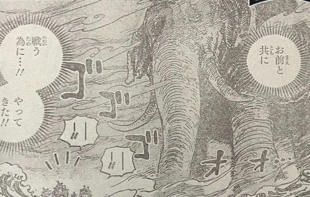 路飞|海贼王第1041话情报图详解看看年轻时的美女大妈路飞最后的四档