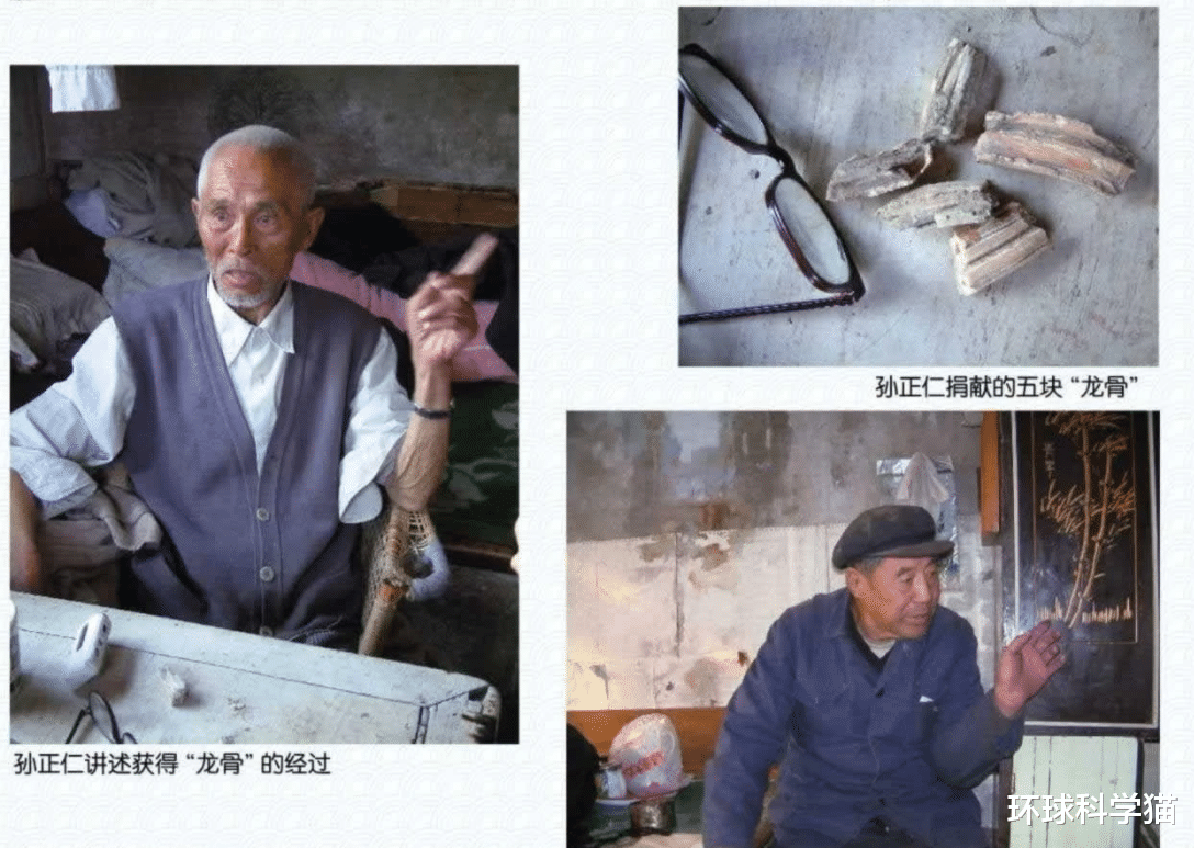 端午节其实是龙的节日!龙是否真存在,为何十二生肖之中也有龙?