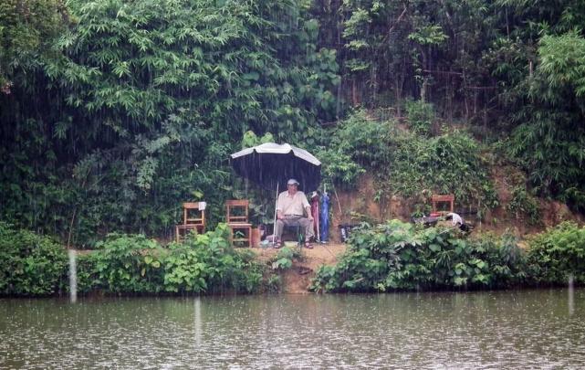 饵料|夏季钓鱼想要连竿上鱼,牢记这三点,让你满载而归钓有所获