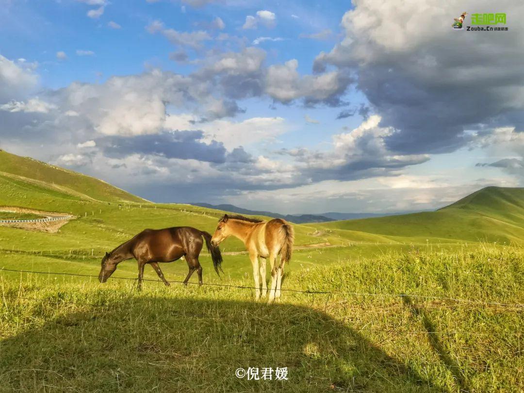 旅行|退休女教师单人单车在路上，美景应接不暇，忙得忘记了孤单