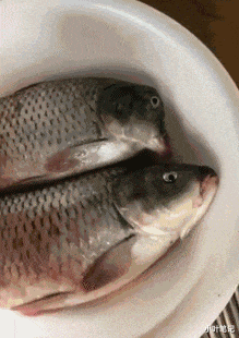 “酒桌上领导把酒泼你脸上，你怎么办？”