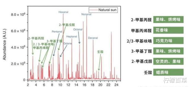 晒被子后有“太阳味”,是因为螨虫被烤焦了?科学家:太阳的功劳