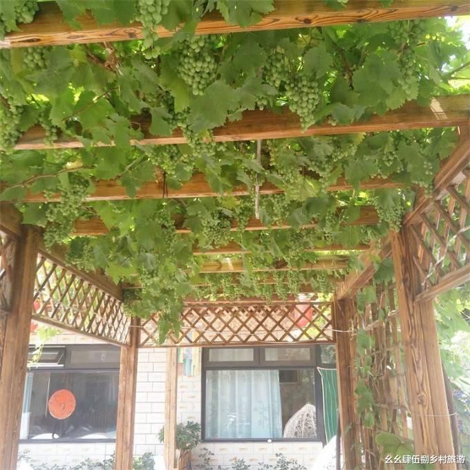 幽谷神潭|北京怀柔幽谷神潭家圣乐农家院,10年老店,住宿含三餐仅需150