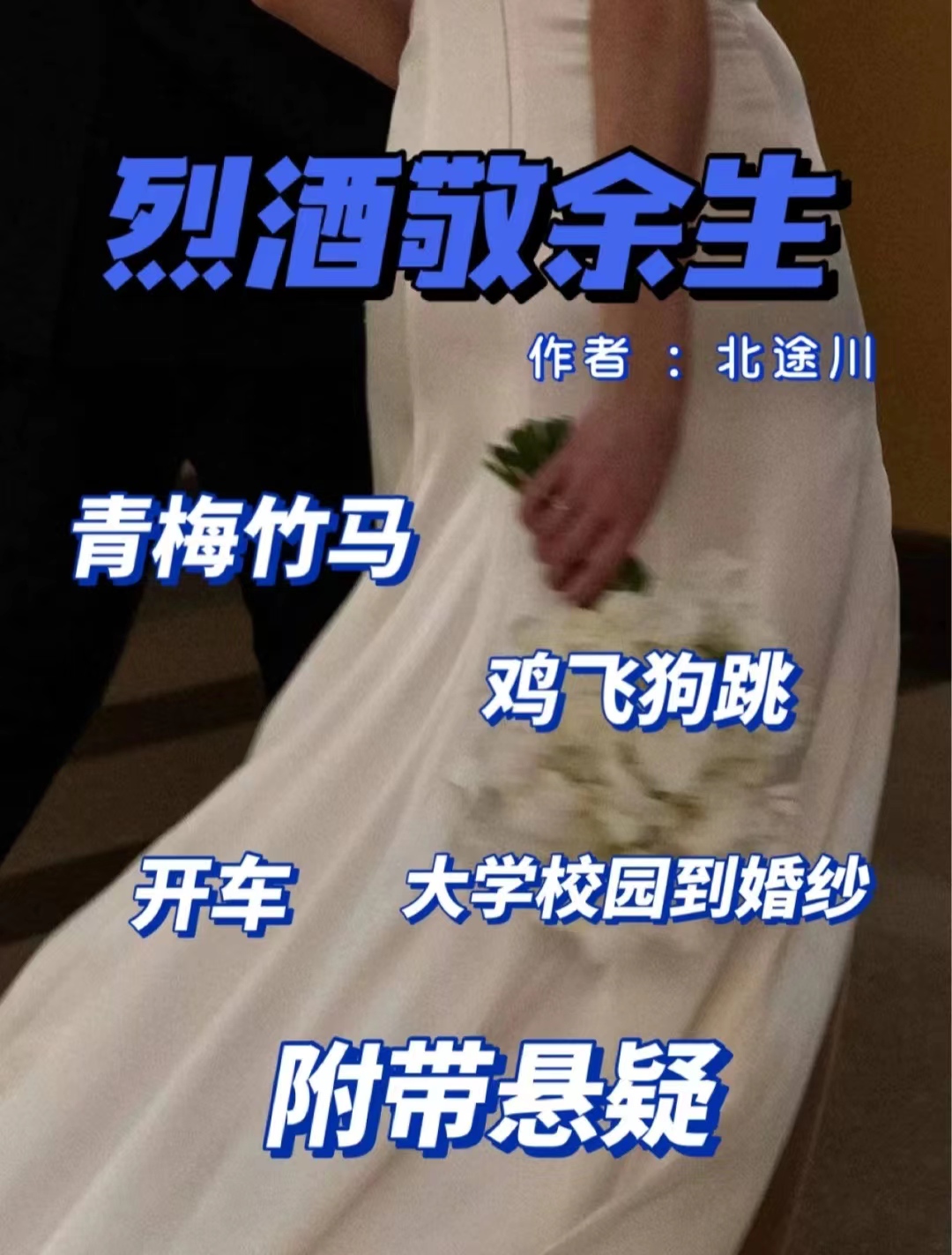 烈酒敬余生|青梅竹马|附带悬疑|《烈酒敬余生》北途川