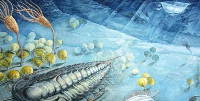 寒武纪生物出现前,有机动物进化竟需30亿年?生物圈的漫长历史!