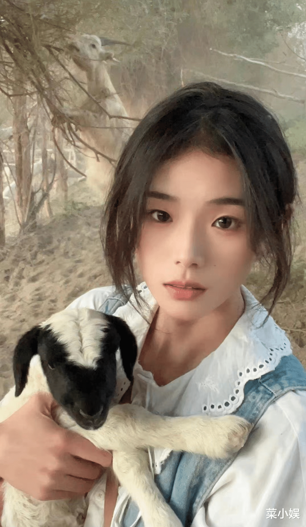 灰太狼|噶羊少女自曝已婚生子被家暴,其丈夫首次发声,称妻子出轨经纪人