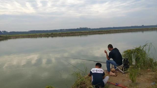 饵料|夜钓夫妇钓起了“鱼王”，巧上加巧，后来成了我的钓鱼挚友
