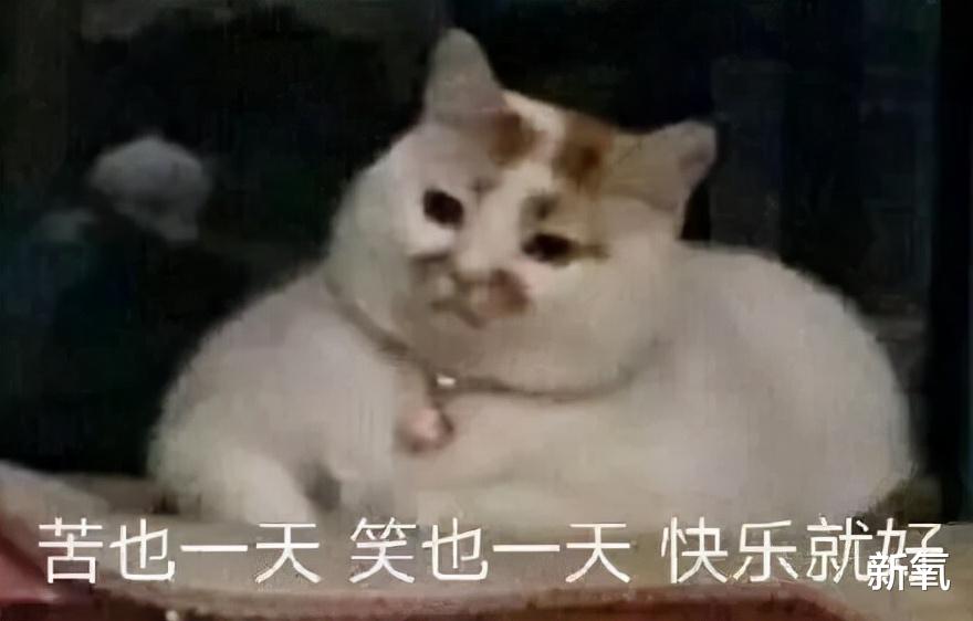 玻尿酸 她对比几年前的神颜真的降低了很多惊艳感，问题出在哪？