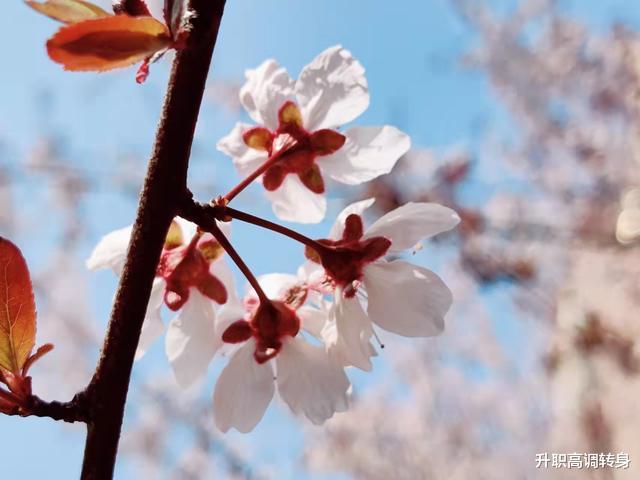 跳槽|在公司死磕10 年的人,后来都怎么样了?