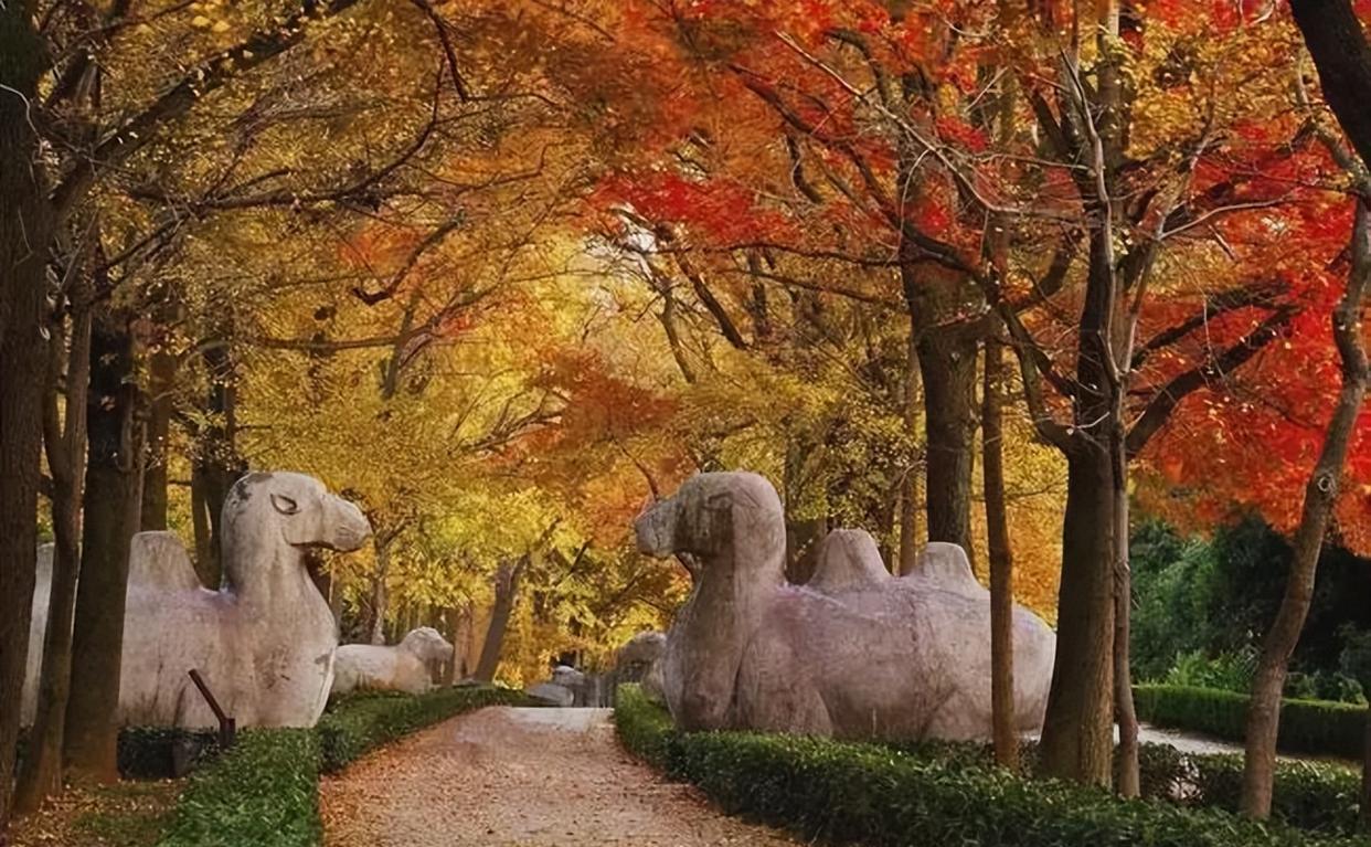 舟山|中国7个治愈系的城市，去享受人生吧，喜欢不妨小住几日！