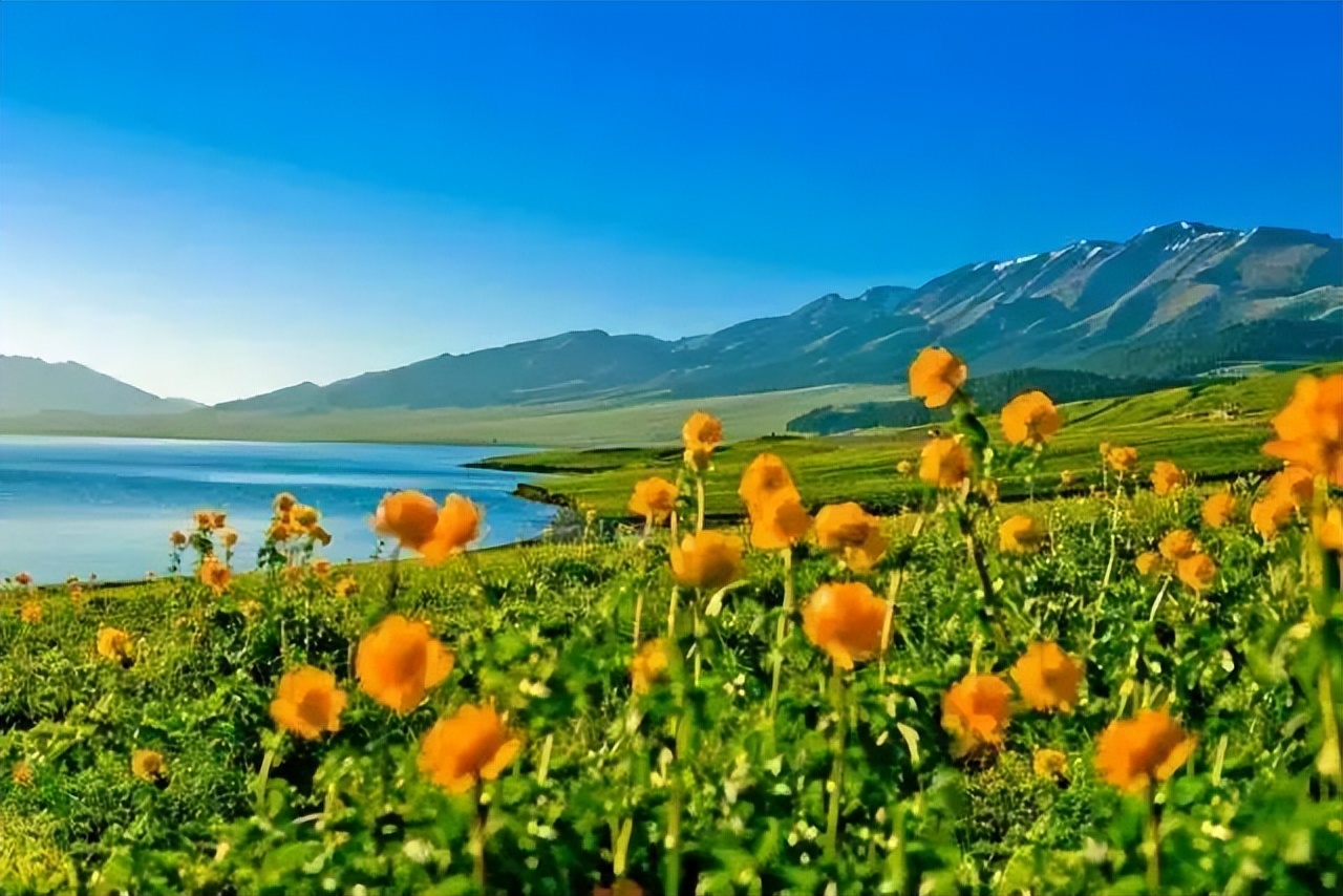 新疆维吾尔自治区|人间四月天，带你纵身花海，邂逅一个磅礴大气的春天！
