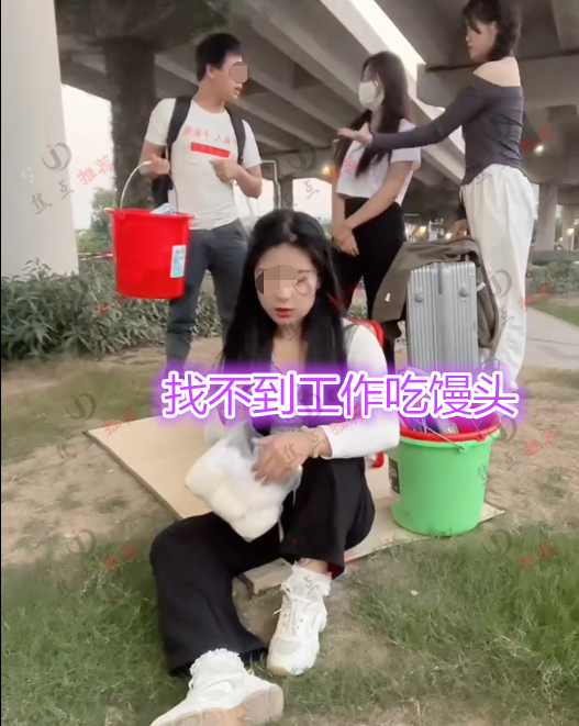 求职|3女1男提桶找月薪1万的工作,露宿天桥下啃馒头,网友:高估自己
