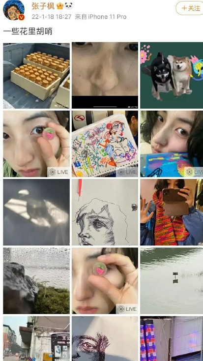 张子枫|张子枫恋情新进展,关键证据曝光?