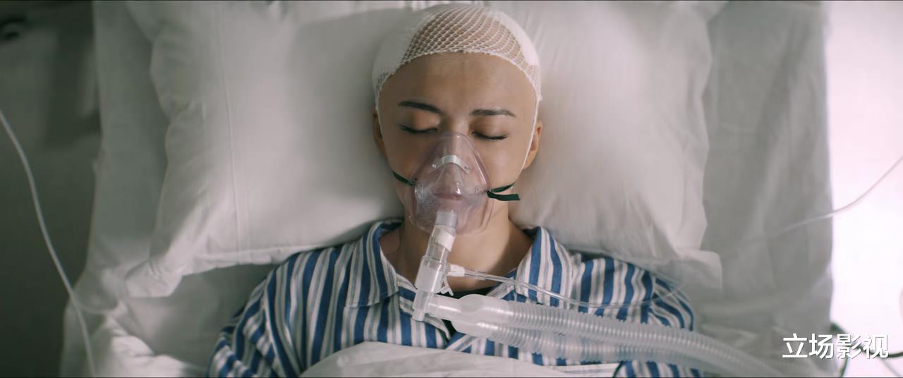 彭莱|看了《摇滚狂花》大结局后,我难掩激动,无语凝噎,写下这段文字