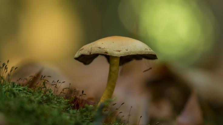 中兴|想了解下互联网打工人工作状态，这里做一个总结