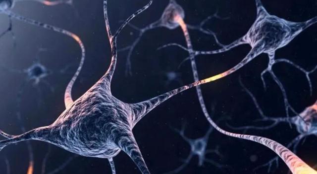 坚持少睡能让大脑更聪明?科学研究认为,睡太久会损伤脑细胞皮层