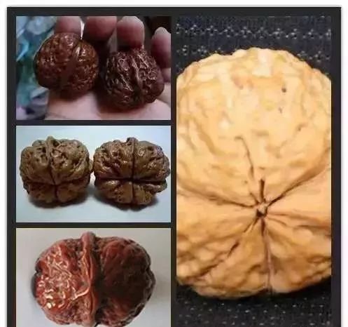 文玩核桃|聊聊文玩核桃的各种纹路