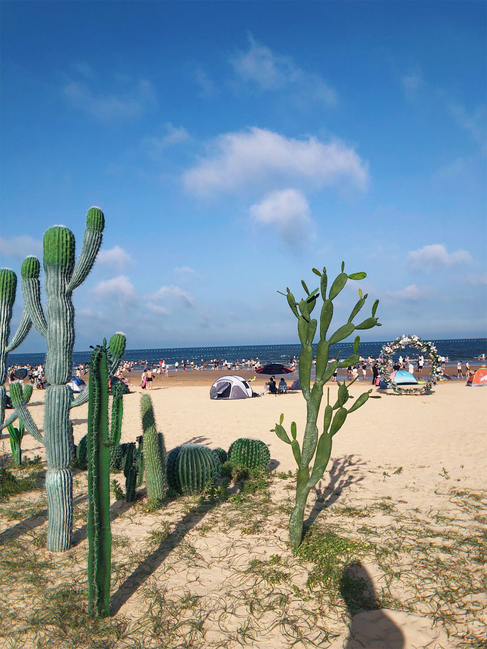 日照|日照旅行，暑期出行前必看的攻略