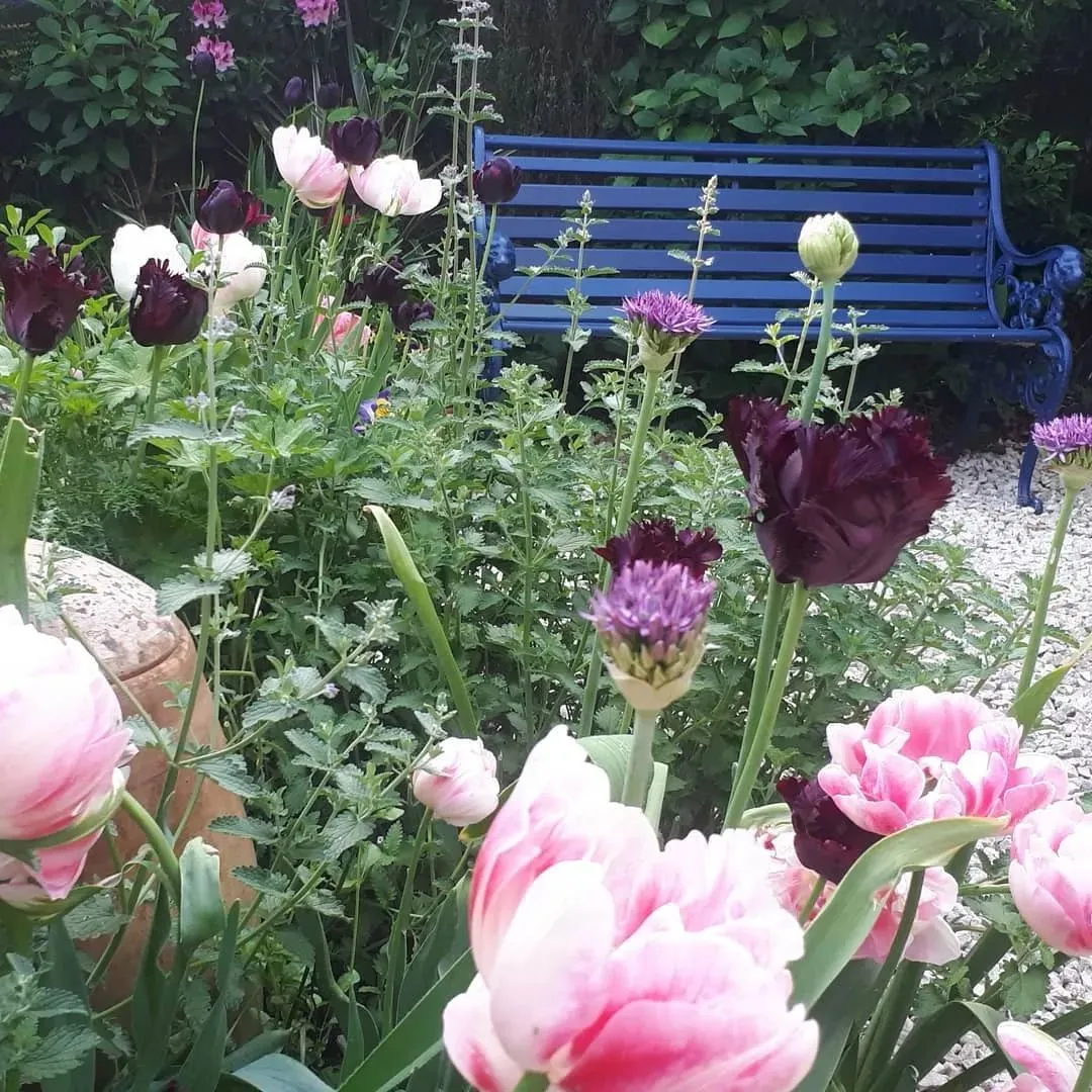 10款花园设计,美炸了,每一款都想直接搬回家