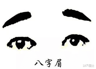 蔬菜 如果纹眉画眉，什么样的眉型好
