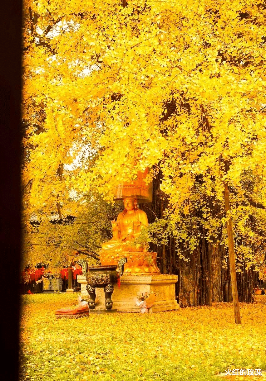 杭州|中国秋天最美的8座古都，好想和ta一起去漫步~