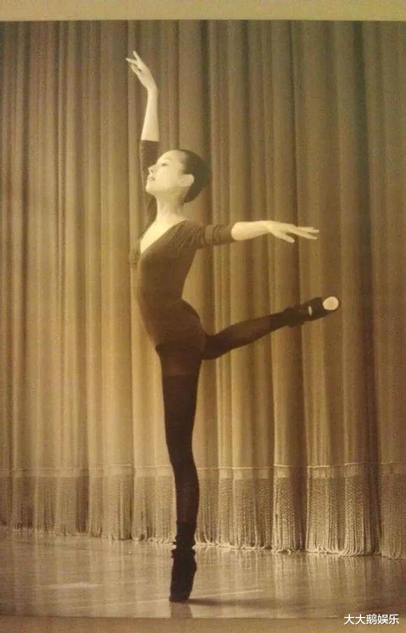 董洁|董洁的悲惨,是在“白天鹅”被“癞蛤蟆”吃到时就已经注定了的