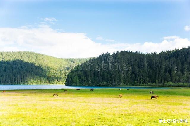 巴厘岛|中国夏天既凉快又好玩的8座小城,你去过几个?