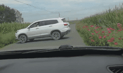 |“从带孩子的手法看,猜猜我老公啥职业的?”哈哈哈练家子啊