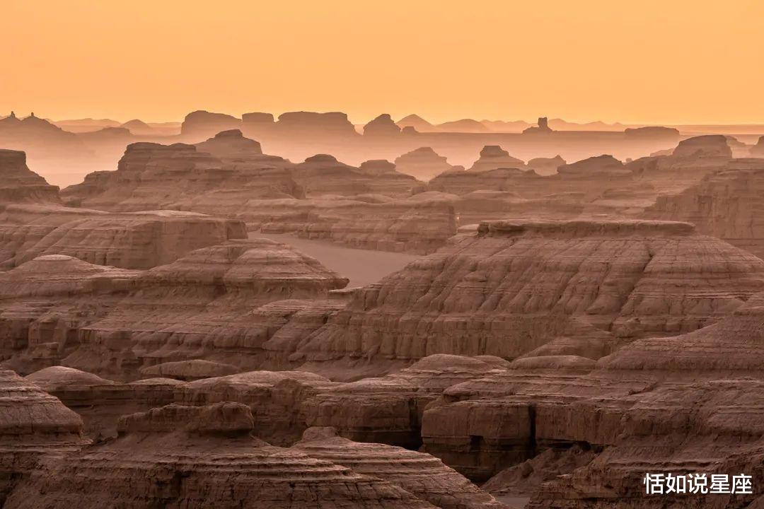 胡杨林|中国最贵的景区,一张门票3500元,外国人进去要交30万