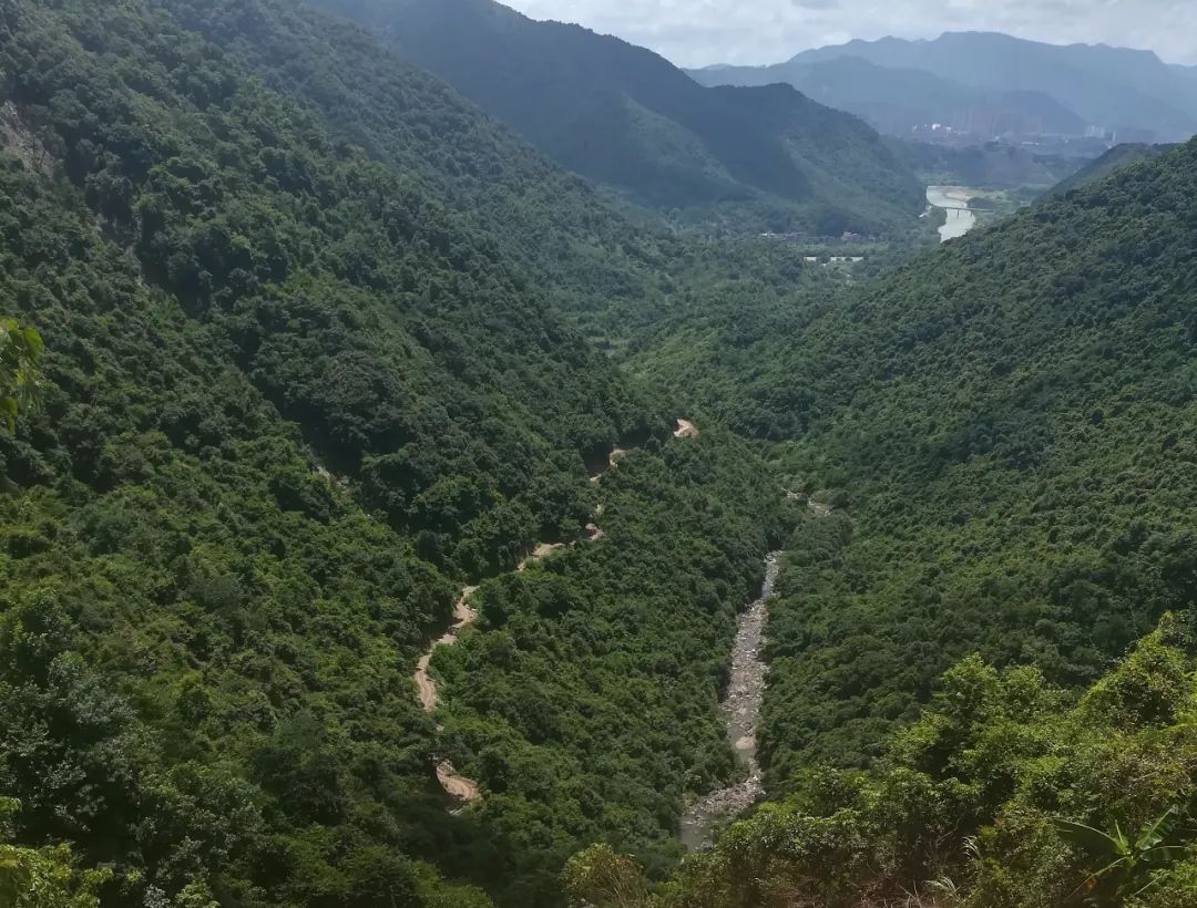 香山公园|万物复苏、一切都在变好、周末花样踏青—翔安香山公园