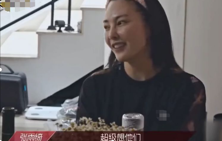 张雨绮|张雨绮：龙凤胎是她的命根子，拼死夺回抚养权，如今还在寻找爱情