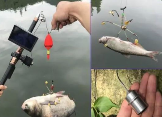 钓鱼|网红高科技钓鱼,“可视锚鱼”并非钓鱼,而是水下猎杀