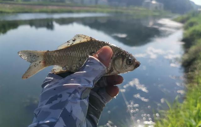 中暑|鱼还没咬钩、人先中暑了！高温天钓鱼一定要重视的几件事