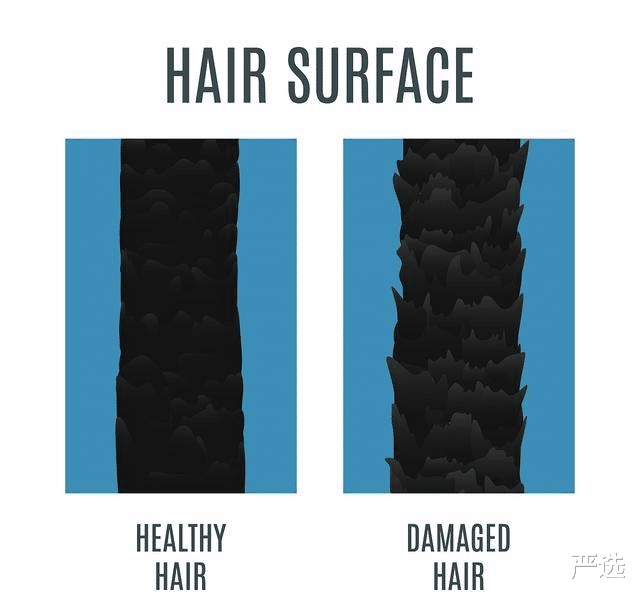 洗发水|三种早已进入“黑名单”的洗发水,价钱贵还掉发,很多人都用过