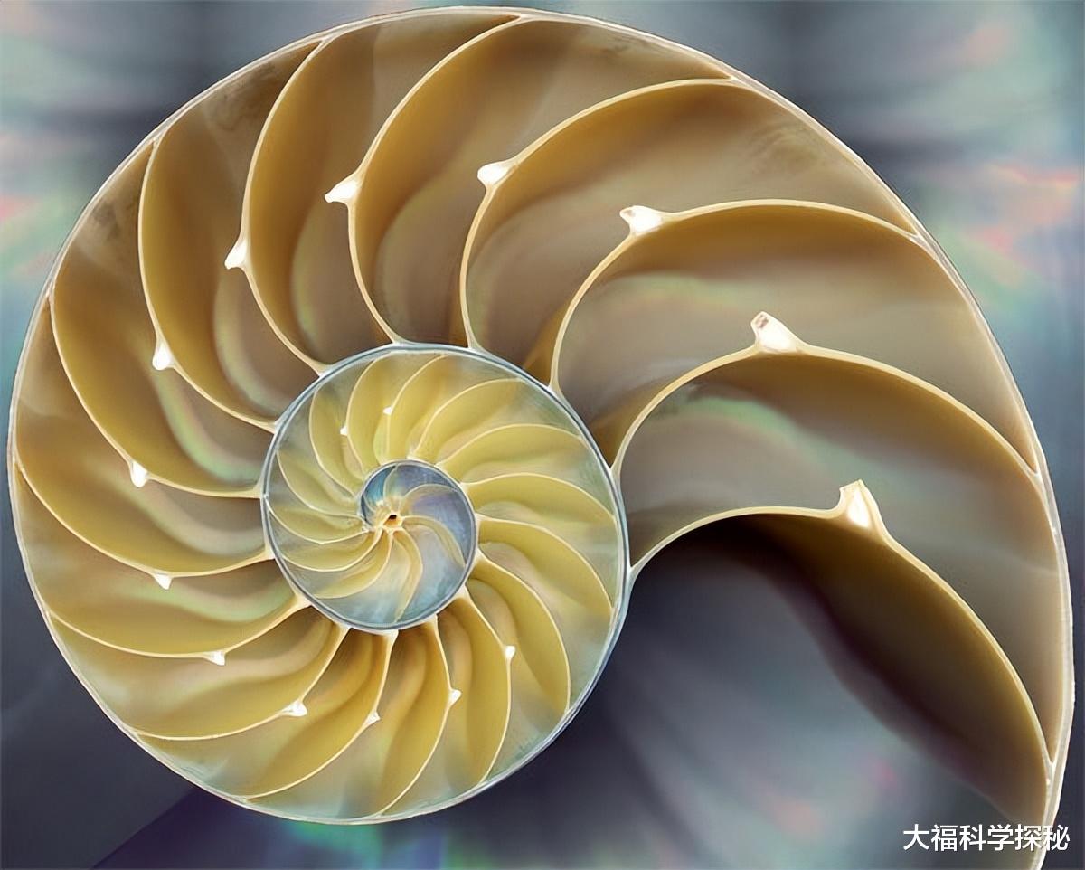 人体大脑等同于宇宙?人类生活在高维生物的大脑里?列举相似特点