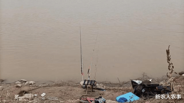 黄河|男子在黄河边钓鱼无获,水边掀开一鼓包后惊呼:钓半天不如这一下