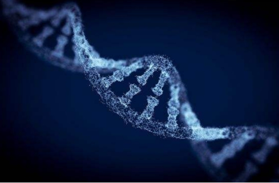 第一个生命是什么样的?英国科学家的这个发现,或会改写生物课本