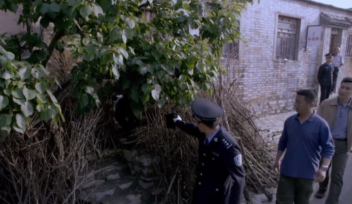 弟弟失踪不知去向,姐姐夜里做一怪梦,民警根据梦境指引顺利破案